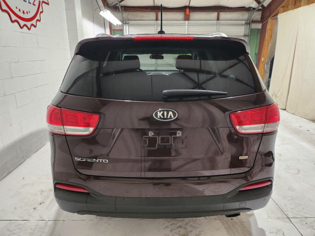 2016 Kia Sorento in Cars & Trucks in Windsor Region - Image 3
