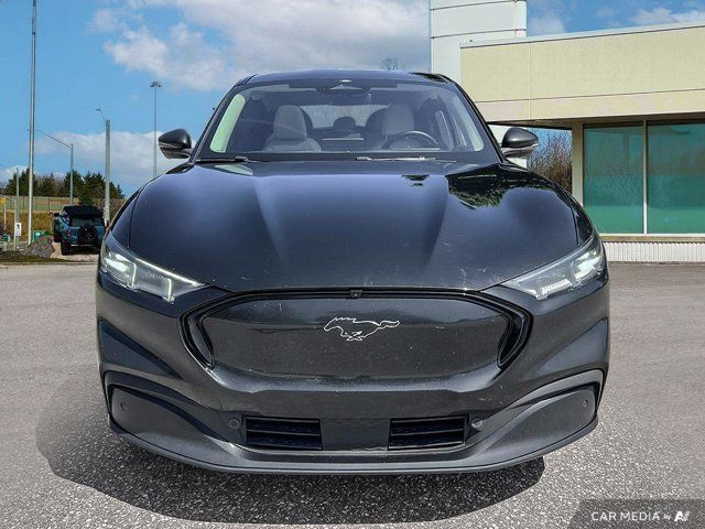 2021 Ford Mustang Mach-E Premium in Cars & Trucks in Kitchener / Waterloo - Image 3