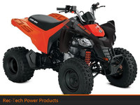 2024 Can-Am DS 250 RED 24