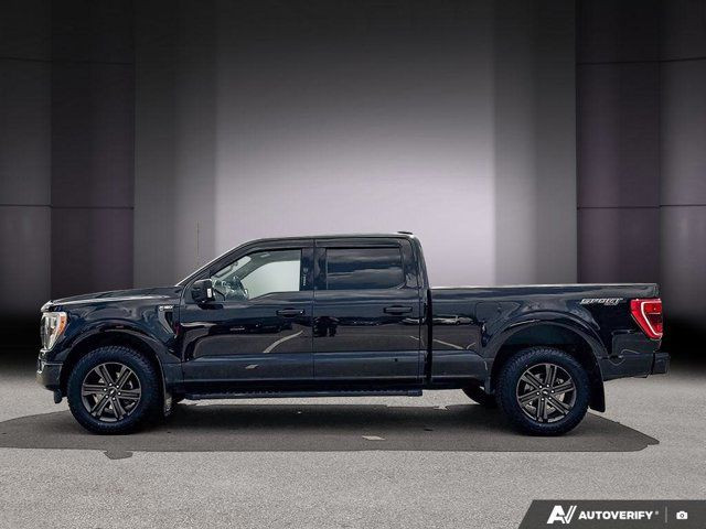 2021 Ford F-150 XLT| 3.5L EcoBoost | Equipment Group 302A | XLT in Cars & Trucks in Cambridge - Image 2