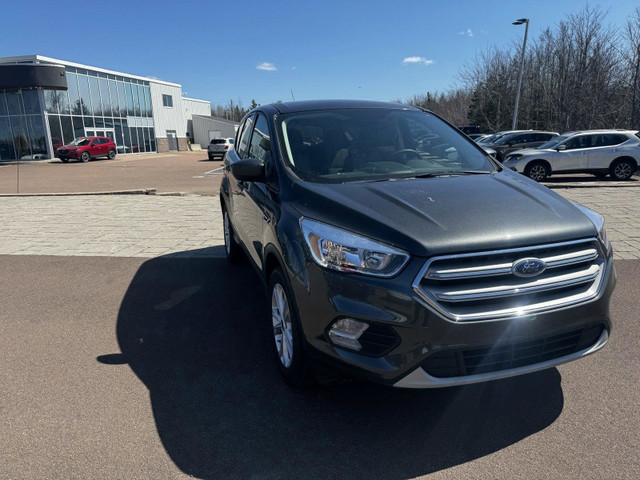 2019 Ford Escape SE in Cars & Trucks in Moncton - Image 4