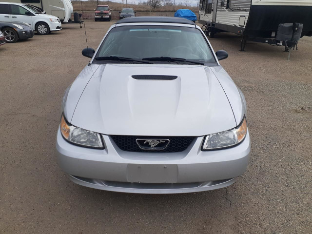  2000 Ford Mustang Convertible Leather Pony Package in Cars & Trucks in Edmonton - Image 2