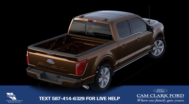 2024 Ford F-150 Platinum in Cars & Trucks in Calgary - Image 4