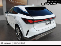 LUXURY Engine: LIGHT/MEDIUM DUTY L/100Km City: 11.2 L/100Km Hwy: 8.4 Safety Equipment Electronic Sta... (image 3)