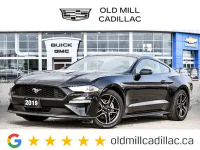 2019 Ford Mustang EcoBoost Premium CLEAN CARFAX | ONE OWNER