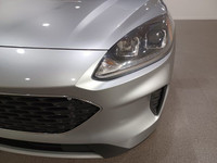 *In addition to getting a great deal on **our pre-owned inventory, we will be flying you and a guest... (image 4)