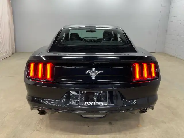 2016 Ford Mustang V6 in Cars & Trucks in Guelph - Image 6
