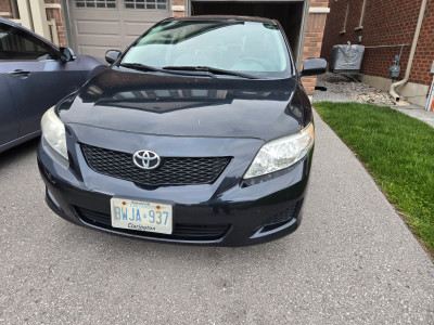 2010 Toyota Corolla CE