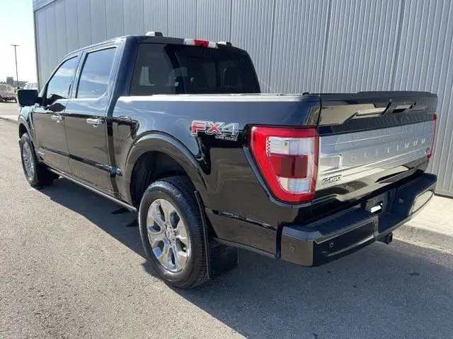 2021 Ford F-150 Platinum - CLEAN CARFAX - ONE OWNER in Cars & Trucks in Strathcona County - Image 4