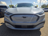 Employee Pricing on now! You pay what we pay on every New and Used Vehicle at Maclin Ford - Calgarys... (image 2)
