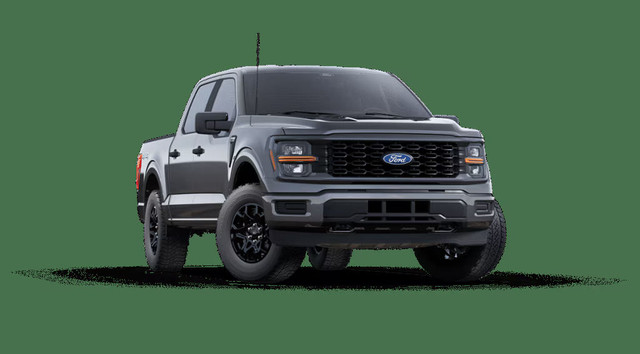2025 Ford F-150 STX | REAR VIEW CAMERA | SYNC4 | BLIS in Cars & Trucks in Calgary - Image 3