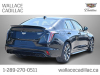 Engine: V6 Cylinder Engine 3.6L L/100Km City: 15.2 L/100Km Hwy: 10.2 Safety Equipment HD Rear Vision... (image 3)