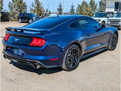 2019 Ford Mustang ECOBOOST COUPE *LOW KMS* w/PERFORMANCE PKG in Cars & Trucks in Edmonton - Image 3