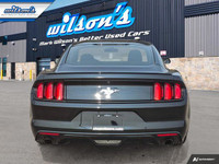 Come see this certified 2017 Ford Mustang V6 | 6-Speed Manual | Nav | Bluetooth | Rear Camera | 18 W... (image 3)