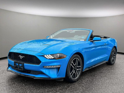 2023 Ford Mustang EcoBoost + CONVERTIBLE/REAR VIEW CAM/APPLE CAR