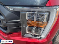 2021 Ford F-150 XLT 4X4 Red GROUP 302A FORD CO-PILOT 360 ASSIST 3.55 RATIO REGULAR AXLE NAVIGATION T... (image 6)