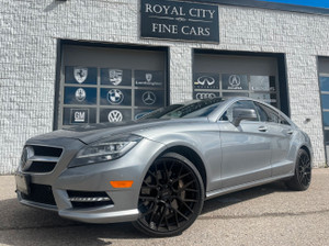 2014 Mercedes-Benz CLS CLS 550 AMG PACKAGE! 20 WHEELS! CLEAN CARFAX!