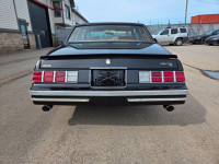 Monte Carlo T-Tops / 3.8L Turbo / Rare John Player Edition Mostly original paint...has a little pati... (image 8)