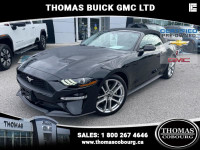 2019 Ford Mustang Convertible Mustang Premium Convertible, Black