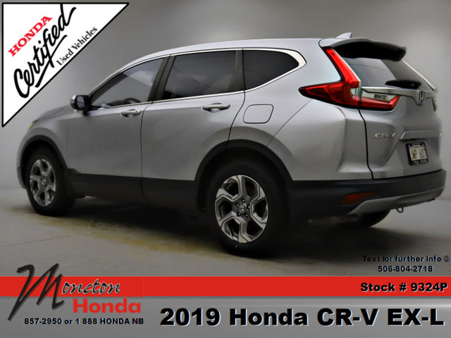  2019 Honda CR-V EX-L in Cars & Trucks in Moncton - Image 4