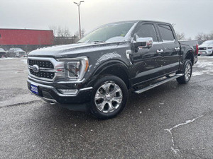 2023 Ford F 150 PLATINUM**LEATHER**PANORAMIC SUNROOF**TOUCHSCREEN**BLIND SPOT