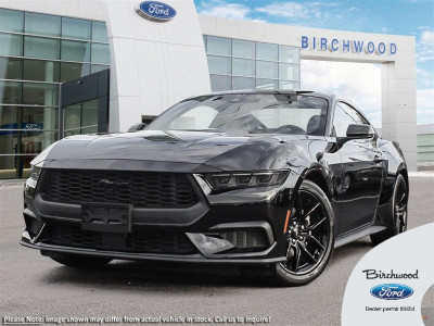 2024 Ford Mustang EcoBoost Nite Pony Package