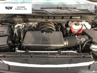 Price is plus HST and licensing. Nurse Cadillac is conveniently located at 1530 Dundas St. E., Whitb... (image 5)
