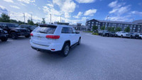 Four Wheel Drive. Leather Interior. 8.4 Inch Touchscreen. Bluetooth. Heated Front Seats. Heated Stee... (image 8)