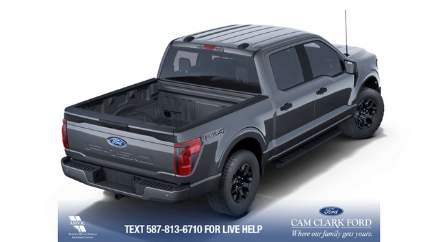 2025 Ford F-150 STX in Cars & Trucks in Red Deer - Image 4