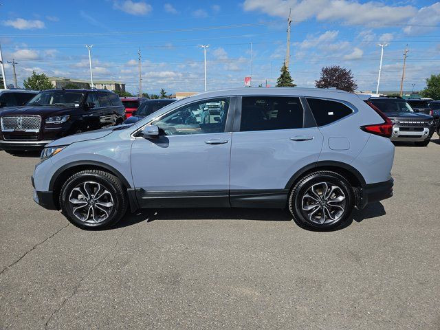2020 Honda CR-V EX-L in Cars & Trucks in Calgary - Image 2