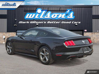 Come see this certified 2017 Ford Mustang V6 | 6-Speed Manual | Nav | Bluetooth | Rear Camera | 18 W... (image 2)