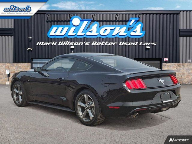 2017 Ford Mustang V6 | 6-Speed Manual | Nav | Bluetooth | in Cars & Trucks in Guelph - Image 3
