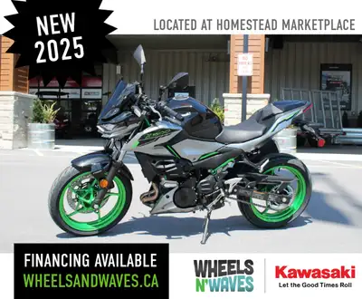 Financing Available From $62.24* (Bi-Weekly) $8,593.00 x 84 months based on 8.99% APR and $0 down pa...