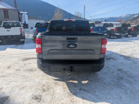Ford Co-Pilot360 Pkg., Engine Block Heater, Auto High Beams, Rear View Camera, Remote Keyless Entry,... (image 3)