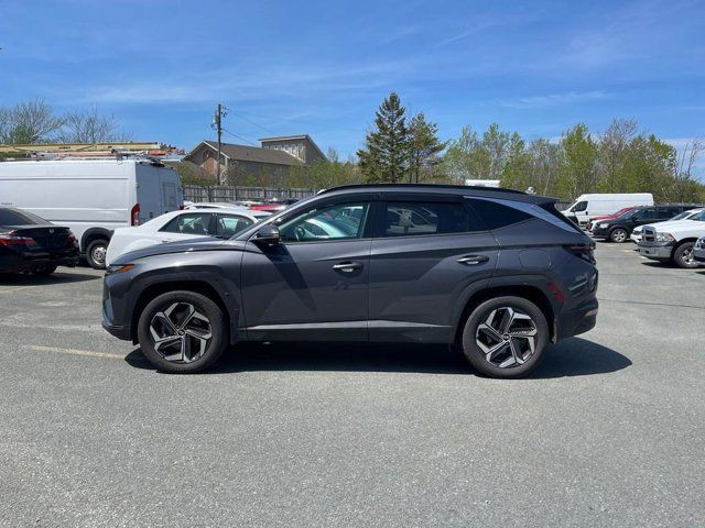 2023 Hyundai Tucson Hybrid Luxury in Cars & Trucks in Dartmouth - Image 3