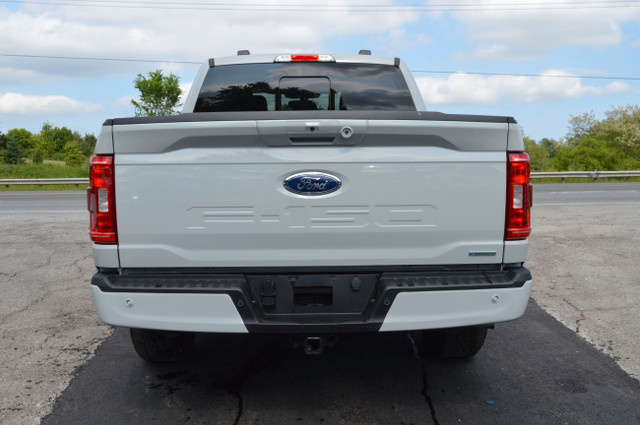 2023 Ford F-150 XLT Sport 4WD SuperCrew 5.5' Box in Cars & Trucks in Markham / York Region - Image 4