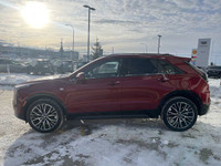 Introducing the New 2025 Cadillac XT4 Sport AWD, a striking SUV finished in radiant Red Metallic. En... (image 4)