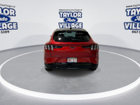 Premium AWD Extended range battery Heated seats Ford co pilot 360 Ford pass connect and more Premium... (image 6)