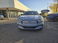 This brand new GLACIER GRAY METALLIC 2024 FORD MUSTANG MACH-E SELECT is powered by a ELECTRIC ECOBOO... (image 1)