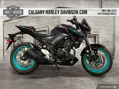 2024 Yamaha MT-03With its sophisticated engine, lightweight handling and naked styling, the Yamaha M...