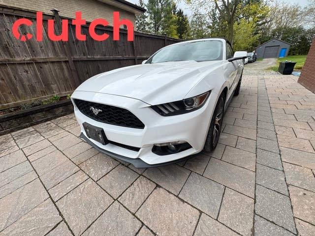 2015 Ford Mustang EcoBoost Premium w/ Nav, Heated Front Seats, V in Cars & Trucks in Ottawa - Image 2
