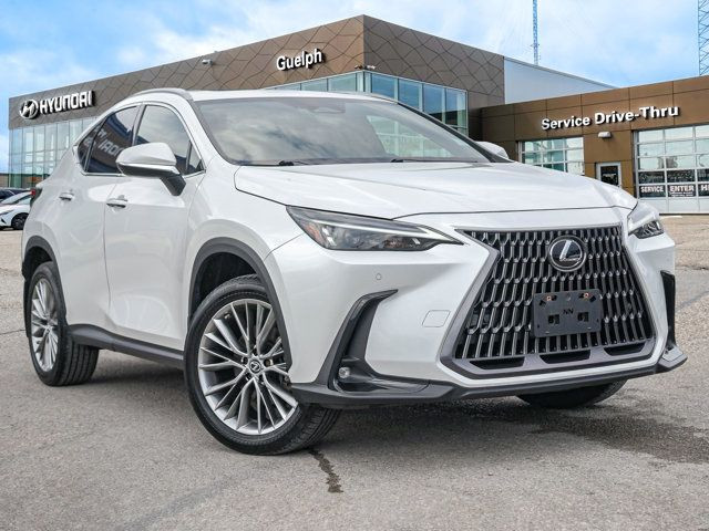 2022 Lexus NX 350 AWD | Red Leather | Sunroof | Cooled Seats |S in Cars & Trucks in Guelph