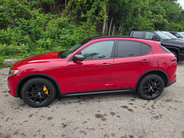 2020 Alfa Romeo Stelvio LEATHER | TURBO AWD | DUAL-ZONE CLIMA... in Cars & Trucks in London - Image 3