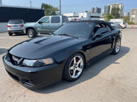 All vehicles come with a full vehicle History Report, ask to see it! 2003 Ford Mustang SVT 10th anni... (image 1)