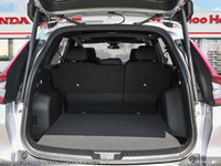 Come visit our Waterloo Honda team, you can find us at 545 King St N, Waterloo, ON N2L 5Z6, or call... (image 7)