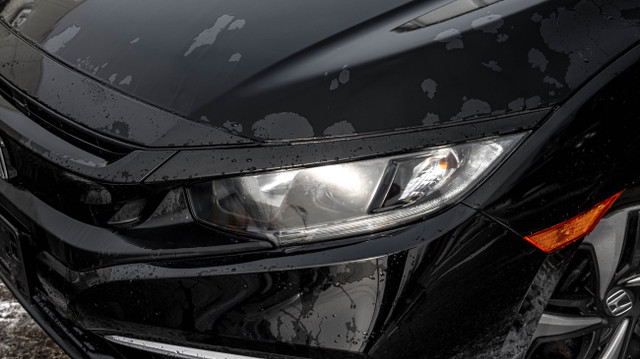2020 Honda Civic LX CVT in Cars & Trucks in Mississauga / Peel Region - Image 3
