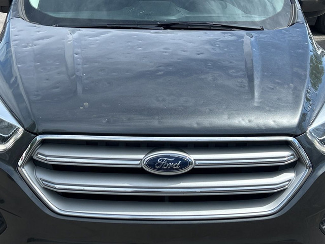 2019 Ford Escape SEL in Cars & Trucks in Calgary - Image 3