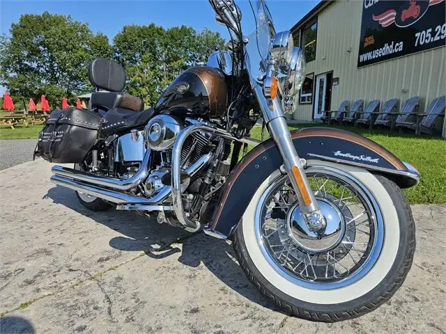 2013 Harley-Davidson Softail Heritage Softail Classic 110th Anni in Street, Cruisers & Choppers in Peterborough - Image 9