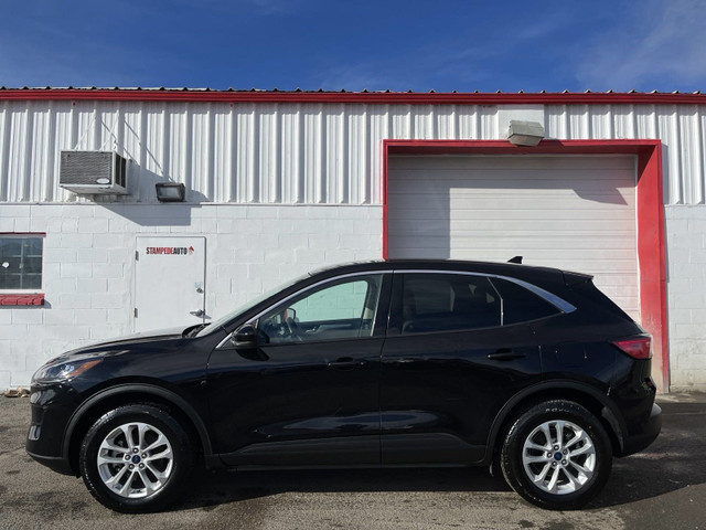 2020 Ford Escape SE AWD in Cars & Trucks in Calgary - Image 2