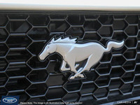 **WE WILL BEAT ANY FORD DEALER IN THE CITY** The 2025 Ford Mustang GT is the latest evolution of a p... (image 9)